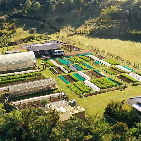 Roebuck Farm Stay New Plymouth Exterior photo